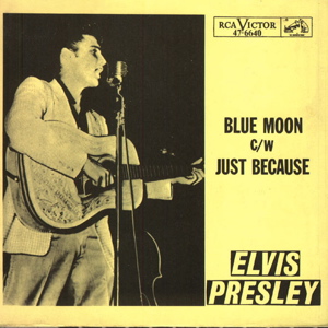 Blue shop moon song
