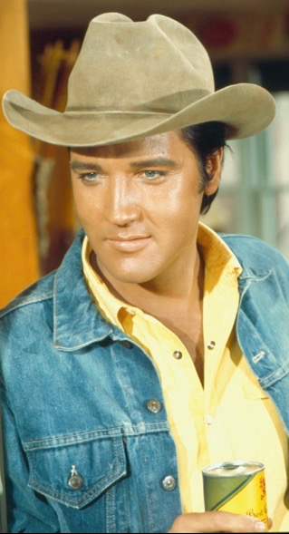 Elvis Presley in Stay Away Joe