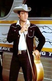 Elvis Presley in Tickle Me