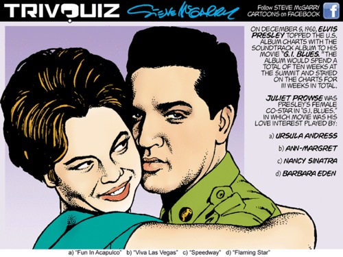 Steve McGarry Cartoons