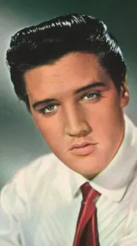 Elvis Presley 1960s Portrait RC