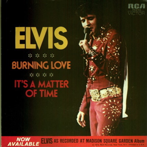 Burning Love sleeve