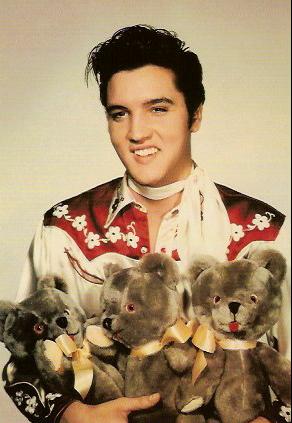 Teddy bear elvis discount