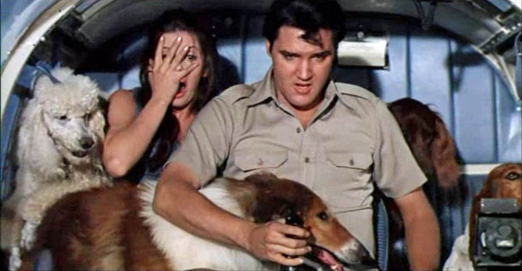 Paradise Hawaiian Style … A Review of Elvis Presley's Twenty
