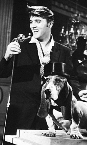 Elvis Presley on Steve Allen Show